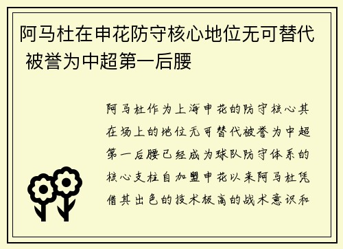 阿马杜在申花防守核心地位无可替代 被誉为中超第一后腰